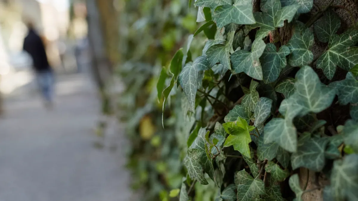 Plac za urzędem w Dobrzanach zmieni się w bezpieczną przestrzeń rekreacyjną