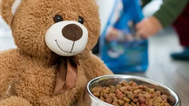 Dwa spotkania i zbiórka dla schroniska w Kiczarowie. „Nasze Zwierzaki”
