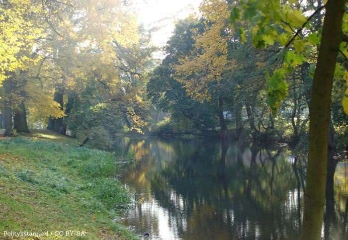 Nowe ledowe latarnie oświetlają historyczne ulice Stargardu