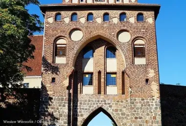 Tulipany, pokaz mody i mini-koncert – Dzień Kobiet w świątecznym klimacie