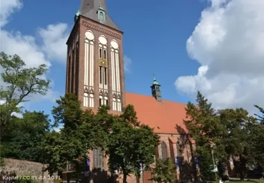 Barwny marsz Amazonek – przypomnienie o profilaktyce w Dniu Kobiet w Stargardzie