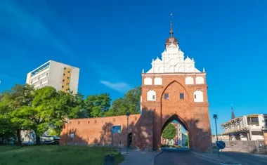 Nowe rozporządzenie wojewody w sprawie rzekomego pomoru drobiu – powiaty pyrzycki, gryfiński i stargardzki