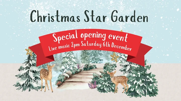 Grafika promocyjna wydarzenia Christmas Star Garden — otwarcie ogrodu gwiazd