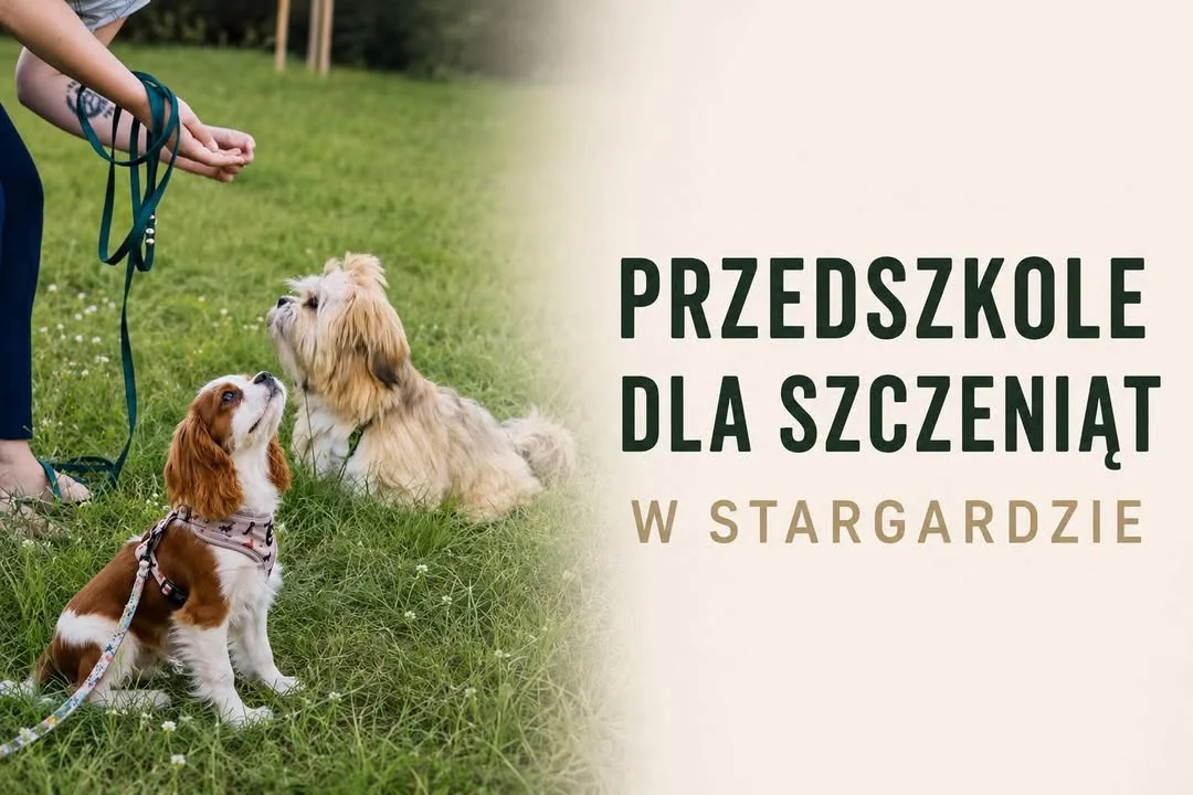 Grafika promocyjna wydarzenia Przedszkole dla Szczeniąt- STARGARD – nauka i zabawa
