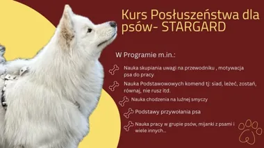 Grafika promocyjna wydarzenia Kurs Posłuszeństwa dla Psów w Stargardzie – 6 spotkań dla opiekunów i ich psów