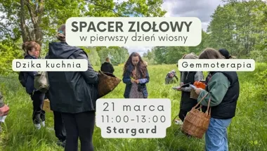 Grafika promocyjna wydarzenia Pierwszy Dzień Wiosny w terenie — spacer ziołowy w Stargardzie