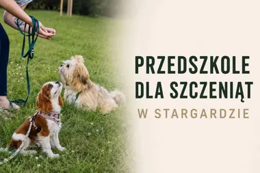 Grafika promocyjna wydarzenia Przedszkole dla Szczeniąt- STARGARD – nauka i zabawa