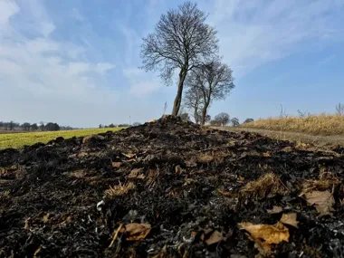 Wiosenne wypalanie traw - tysiące akcji straży i groźba więzienia