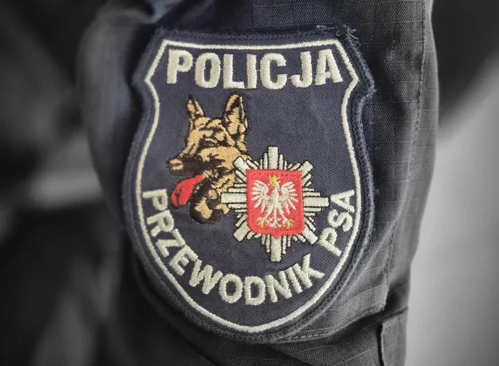 Cztery psy i pięciu policjantów w Stargardzie - tak tropią sprawców
